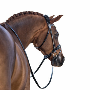 LT AntiGravity Glam Snaffle Bridle