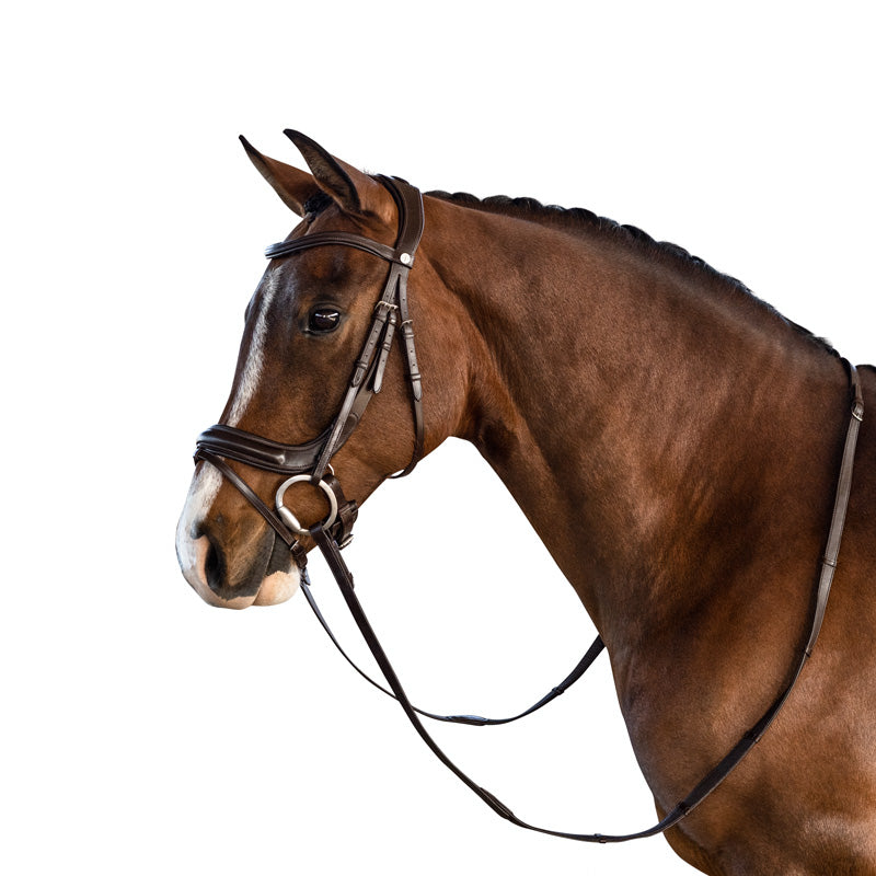 LT Connection Bridle Brown – Lara Tweedie Equestrian