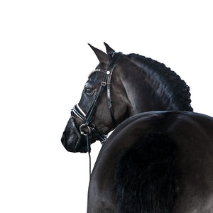 LT Essential Pony Bridle - Patent & White