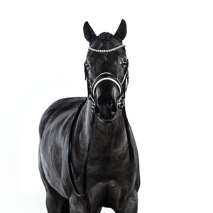 LT Essential Pony Bridle - Patent & White