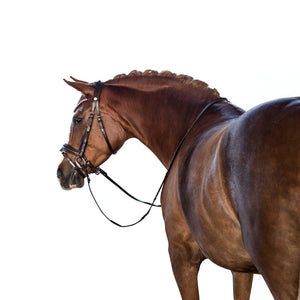 LT Essential Pony Bridle - Brown