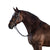 LT Essential Snaffle Bridle - Flash Noseband