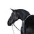 LT Essential Snaffle Bridle Patent