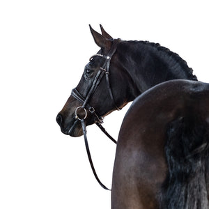 LT Essential Snaffle Bridle Brown - Cavesson