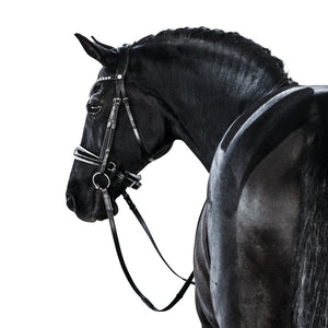LT Essential Snaffle Bridle Black Patent & White - Cavesson