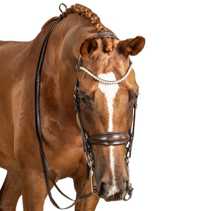LT Essential Double Bridle Brown