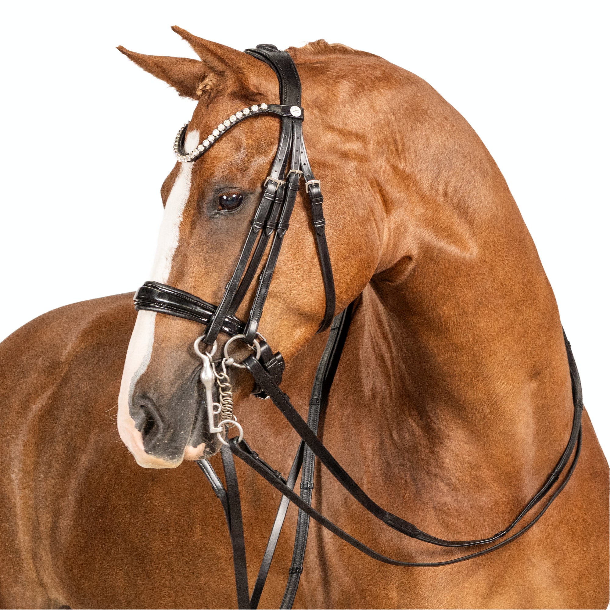 LT Essential Pony Double Bridle Black Patent