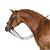 LT Essential Pony Double Bridle Brown