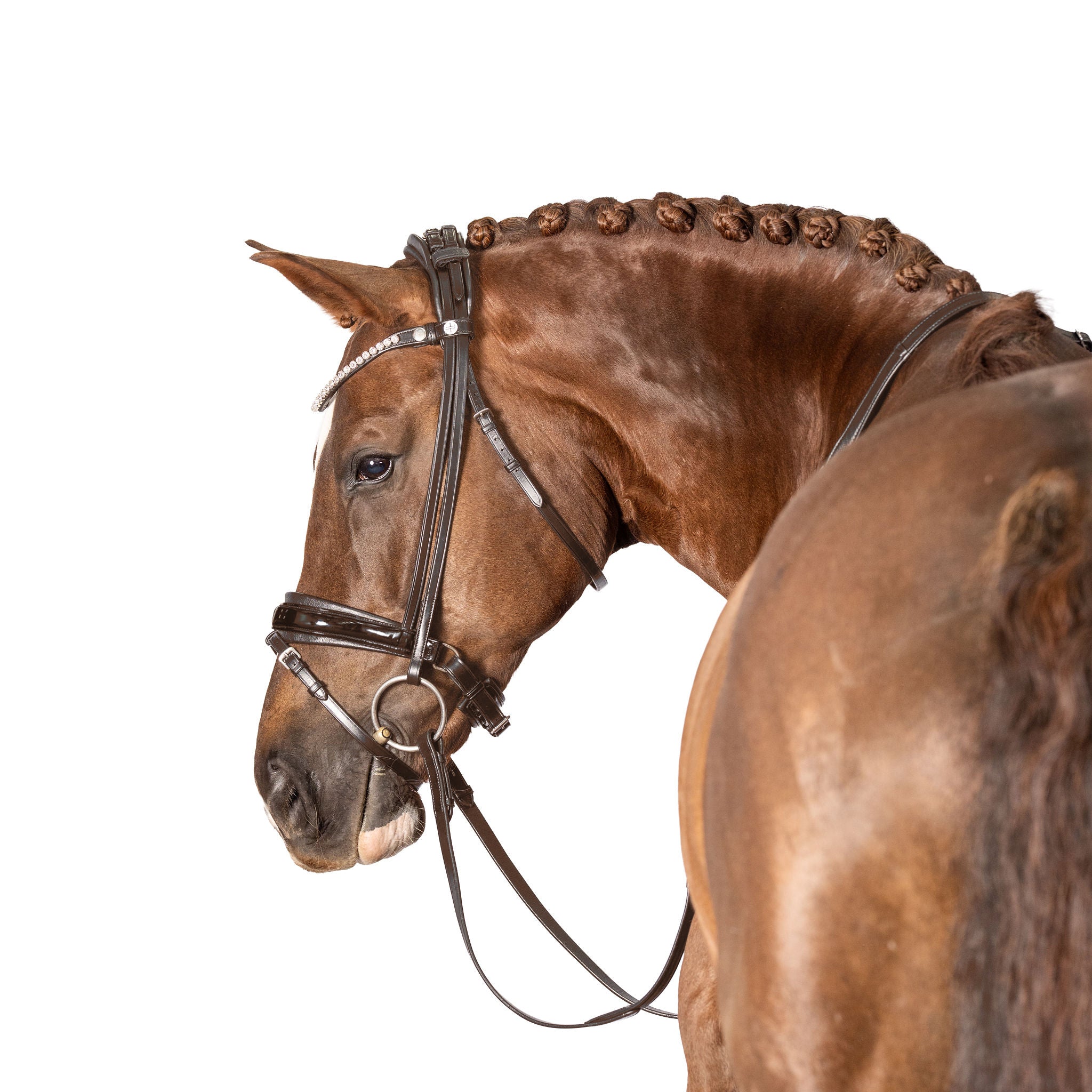 LT AntiGravity Snaffle Bridle – Lara Tweedie Equestrian