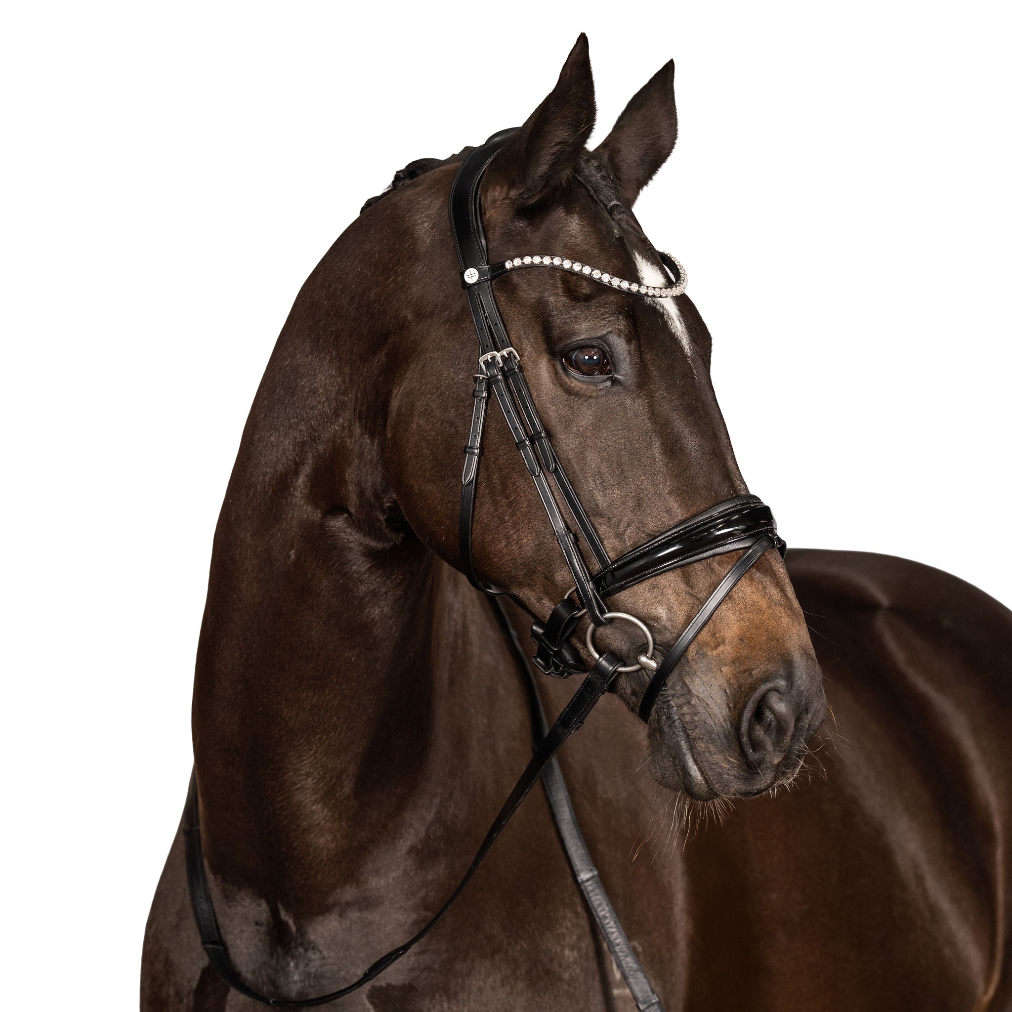 LT Essential Snaffle Bridle Patent – Lara Tweedie Equestrian