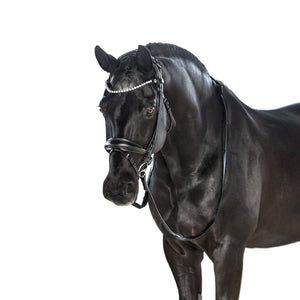 LT AntiGravity Snaffle Bridle