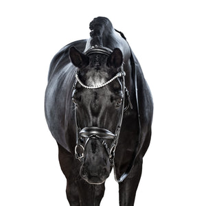 LT AntiGravity Snaffle Bridle